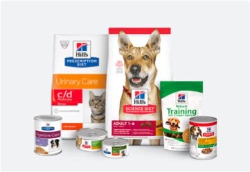 Descubre nuestros productos