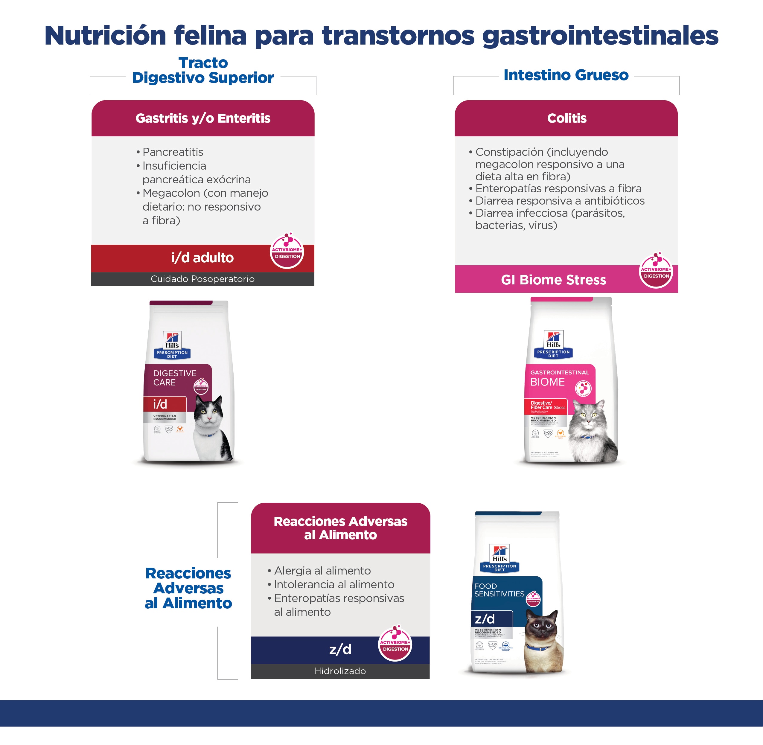 Encunetra la comida felina para transtornos gastrointestinales