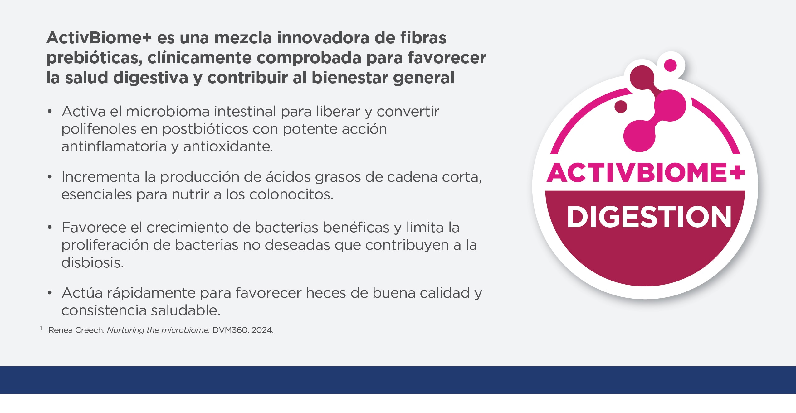 Encunetra la comida felina para transtornos gastrointestinales