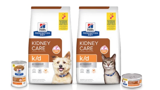 nutrición para enfermedad renal en perros y gatos Hill’s Vet México