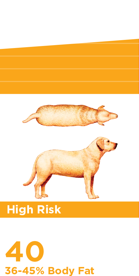 Índice de grasa corporal alto