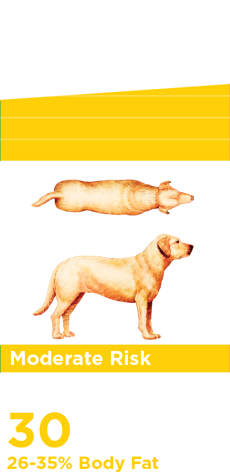 Índice de grasa corporal moderado