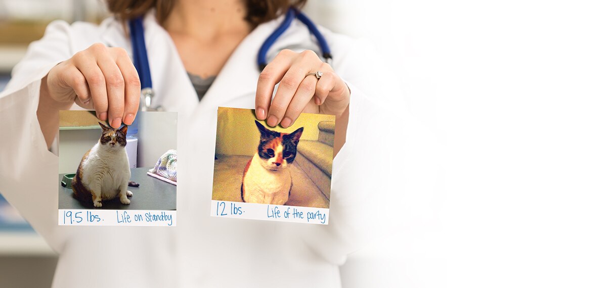 meta-carousel-maggie