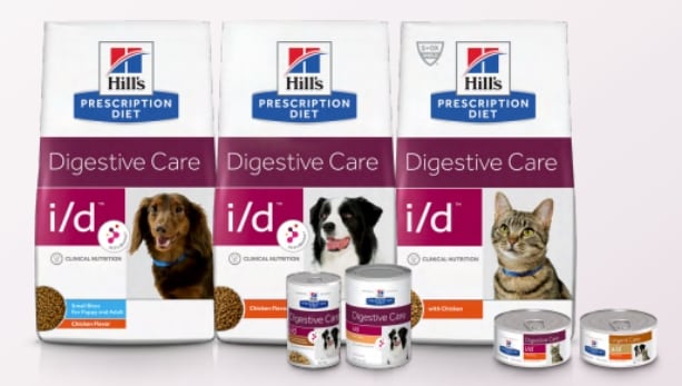 prescription diet product Gato jugando con una varita con plumas