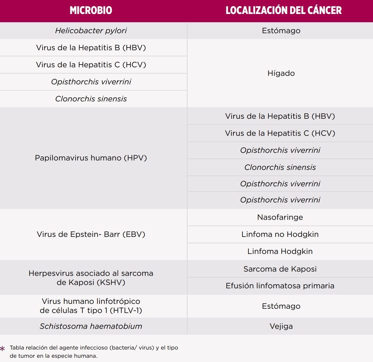 Cancer Gastro Tabla agente infeccioso Gato tranquilo y saludable