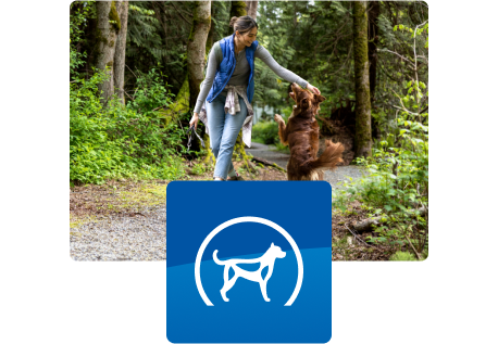Padre de mascota paseando con su perro por el bosque