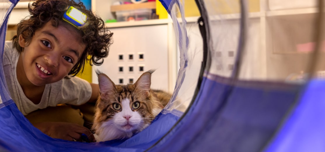 Niño feliz con un gato mirando a través de un túnel