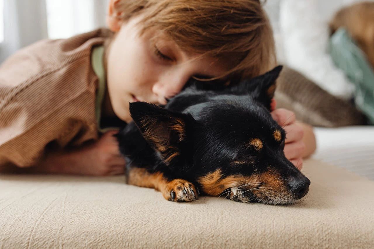 Perro negro pequeño acostado en el piso con un niño durmiendo