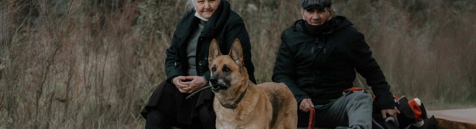 Perro guía Pastor Alemán