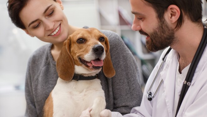 Una mujer sonriente con un cachorro beagle en la consulta veterinaria.