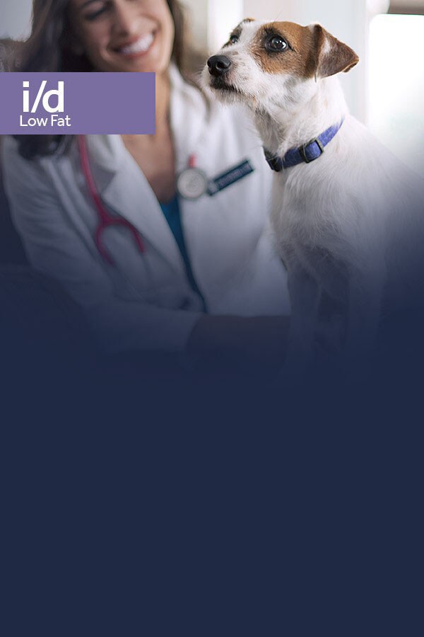 Prescription Diet i/d Low Fat Perro